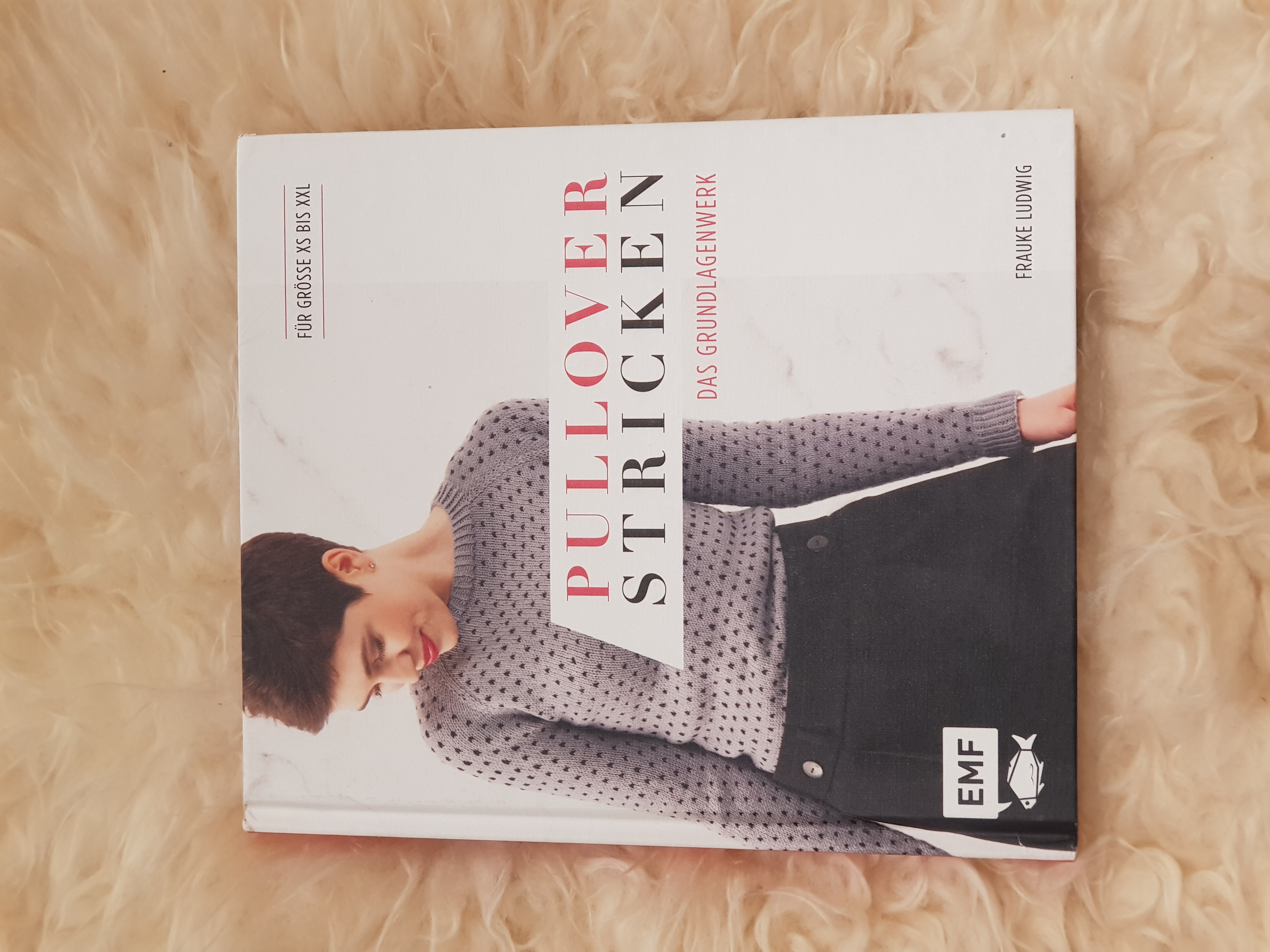 Pullover Stricken Grundlagenwerk (Ludwig)