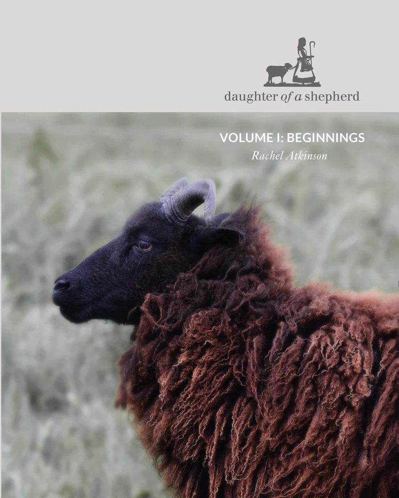 Daughter of a Sheperd - Volume 1: Beginnings (Rachel Atkinson)