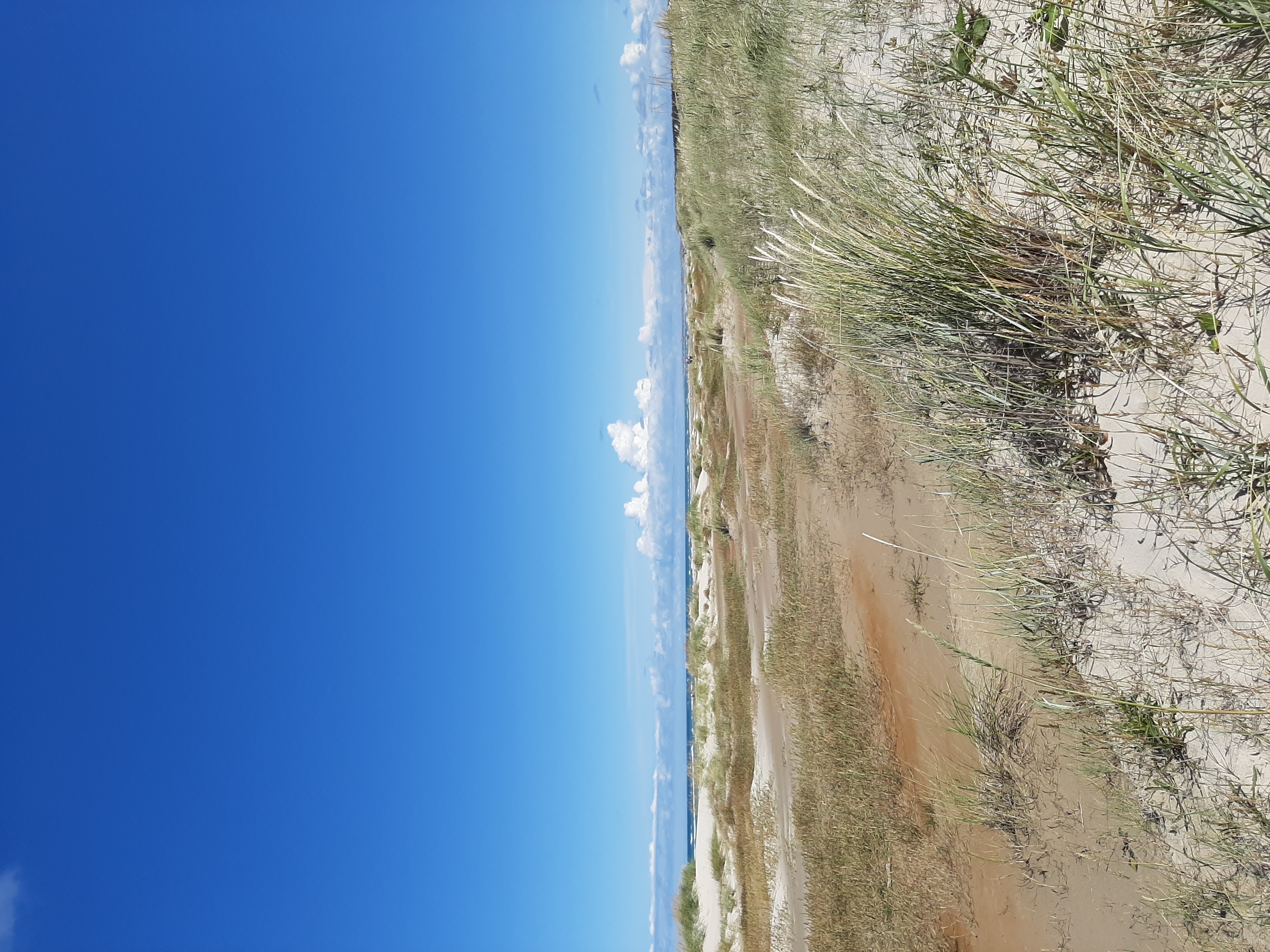 Strand Düne Strand Düne