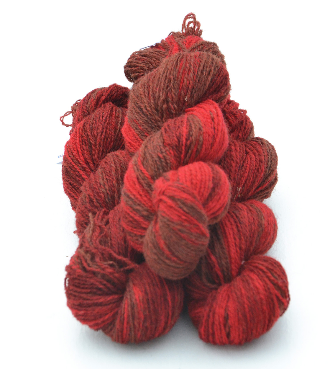 6/2-04 Red variegated 6/2-04 Red variegated